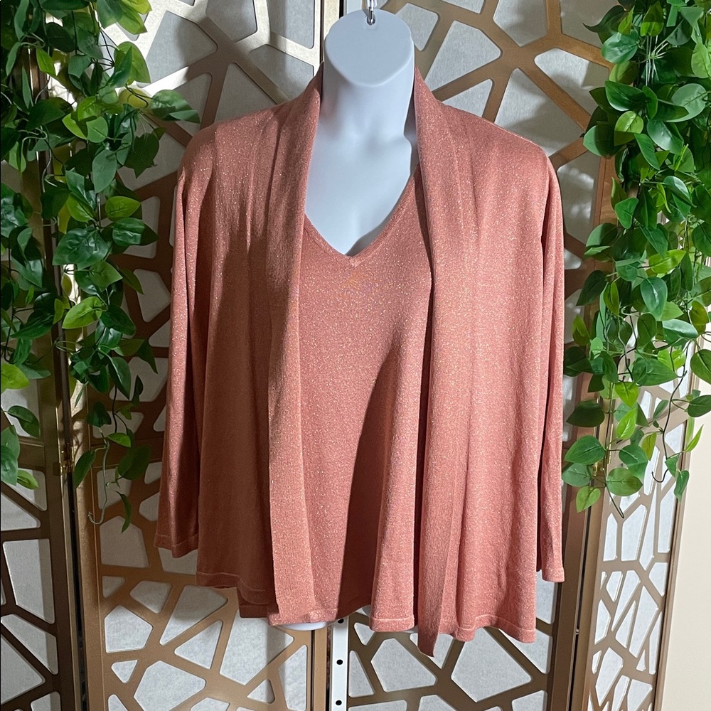 Kasper Shine Sweater Set, Rose, 1X